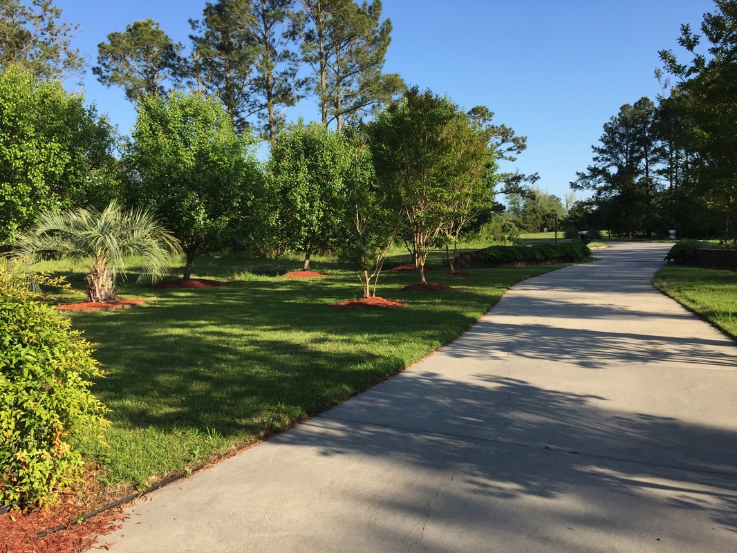 112 Goodwinds Drive, Oriental NC Picture